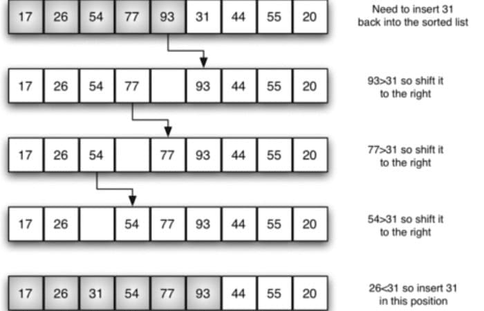 insertion sort