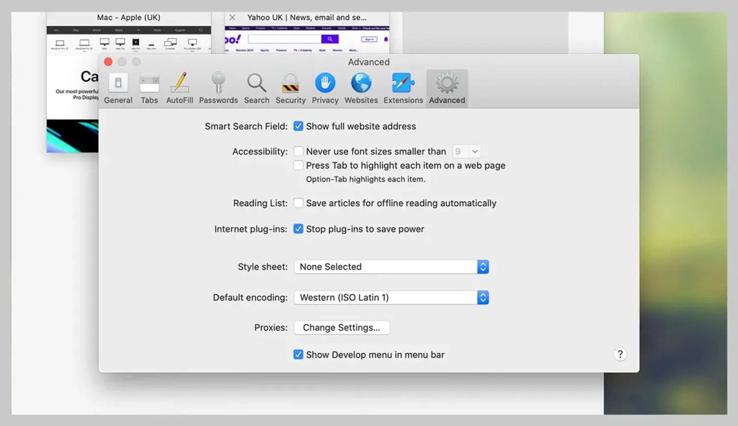 safari advanced settings